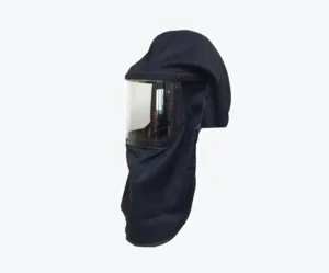 Protector Facial 2091